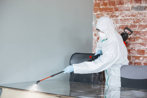 Best Emergency Mold Remediation  in Burns Harbor, IN